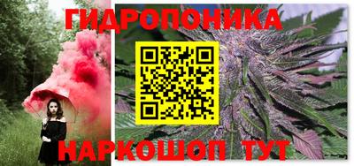 PSILOCYBIN Будённовск
